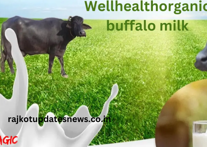 Wellhealthorganic.com The Health Benefits of Buffalo Milk for a Healthier Lifestyle